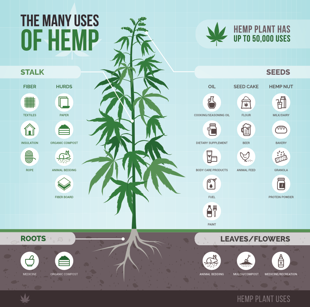 Many Uses of Hemp